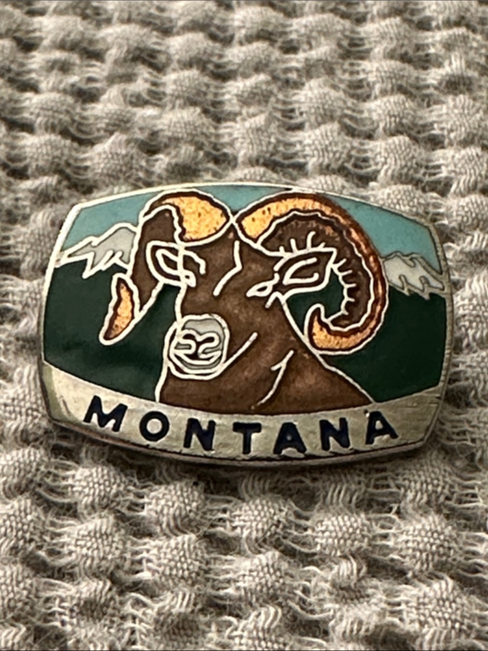 Montana Bighorn Sheep Pin